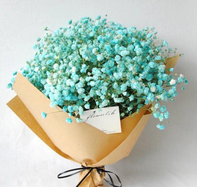 心理测试:第一眼最喜欢哪束满天星?测出你最近有什么好事发生!