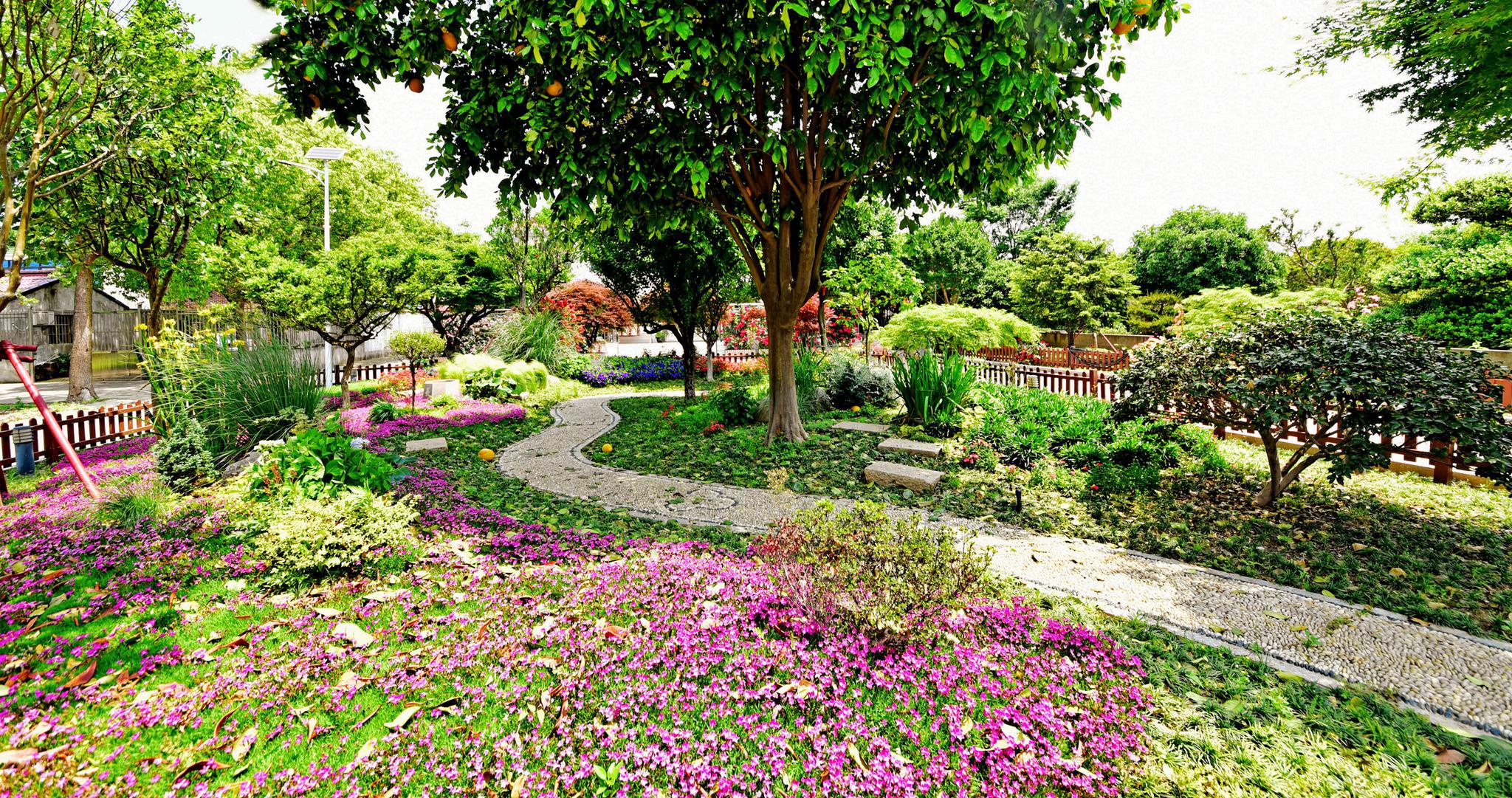 东港初夏美景之——花园家庭的家庭花园