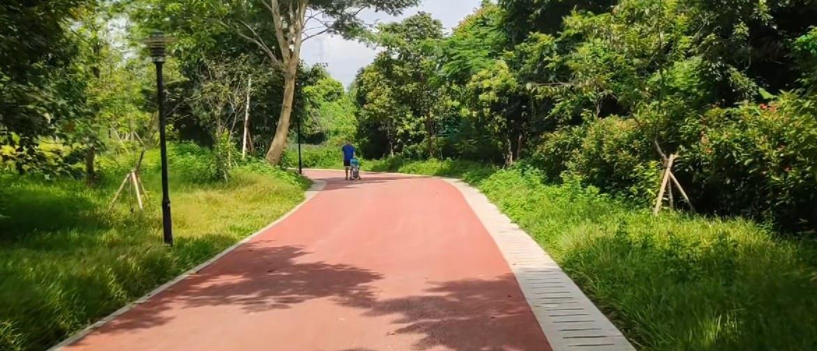 深圳最长的环湖绿道,深圳石岩湖绿道全长30.5公里