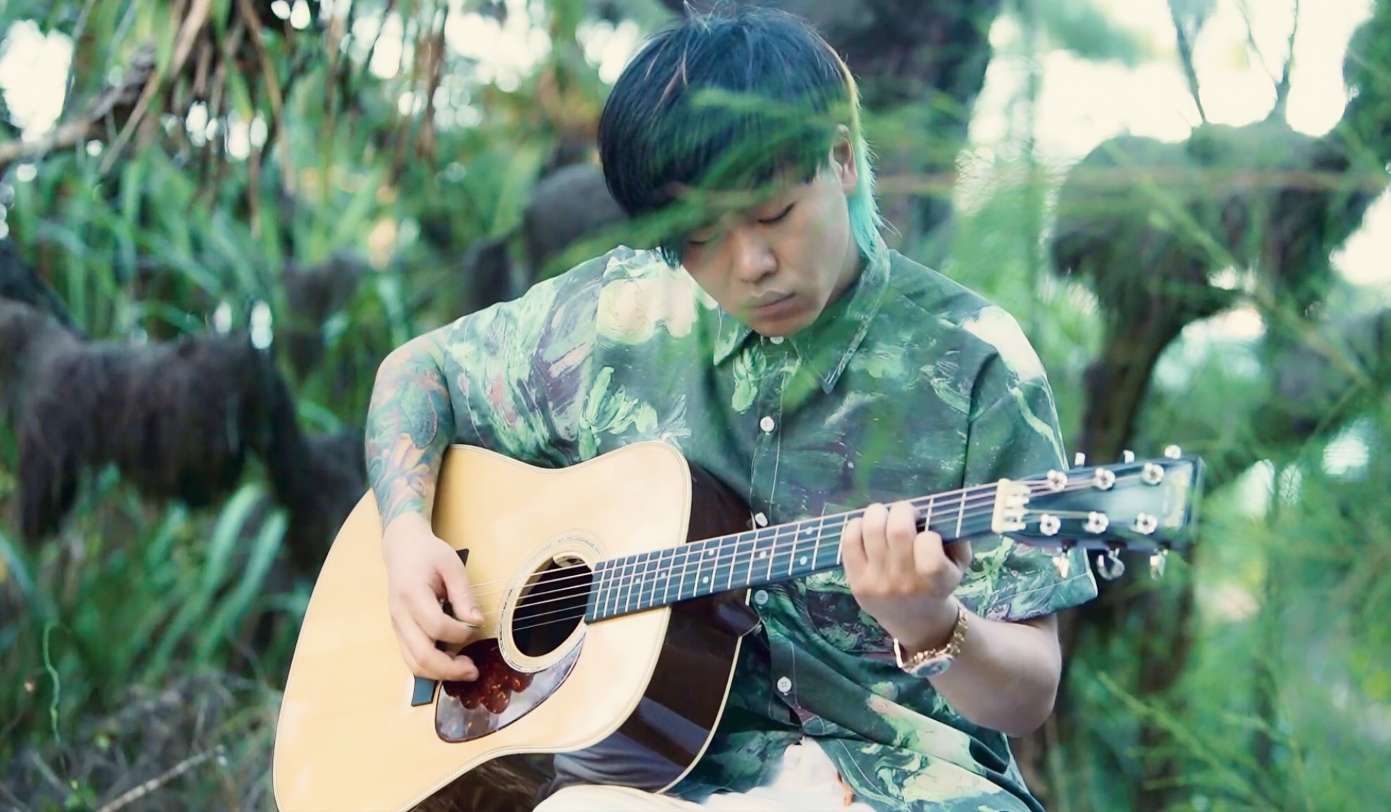 夏至如期而至闪星乐队今日上线不插电版白色大象单曲及mv