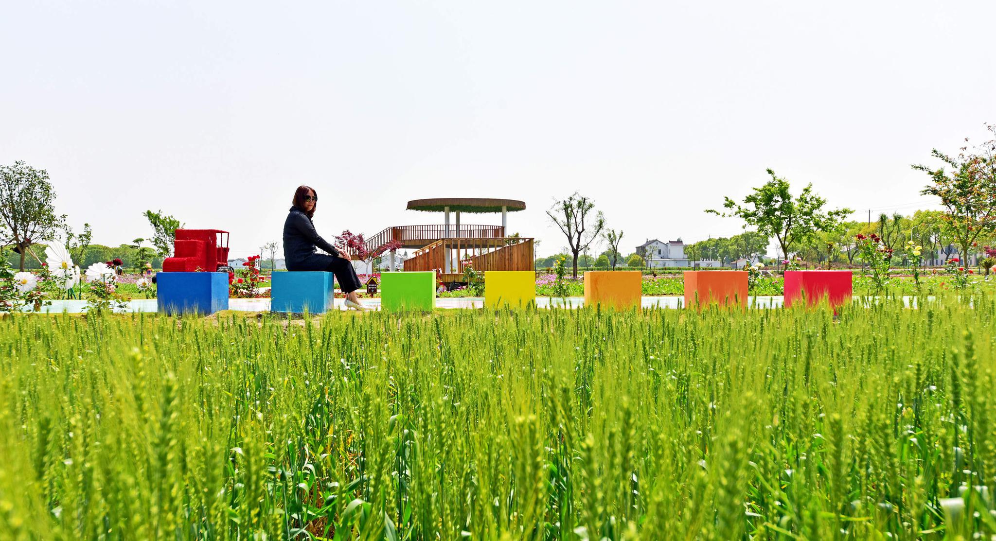 田间地头的乡村公园——港南村北古庄彩云里