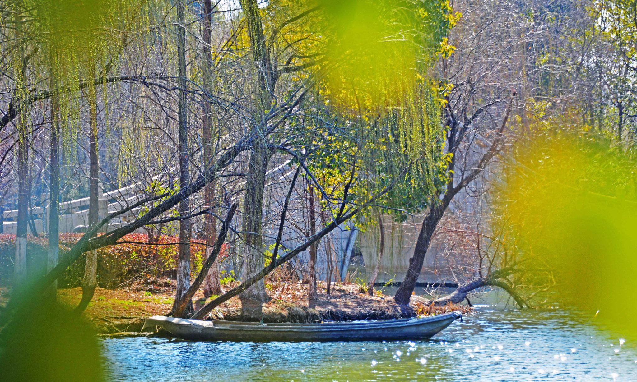 早春二月东北塘暖意融融好春光