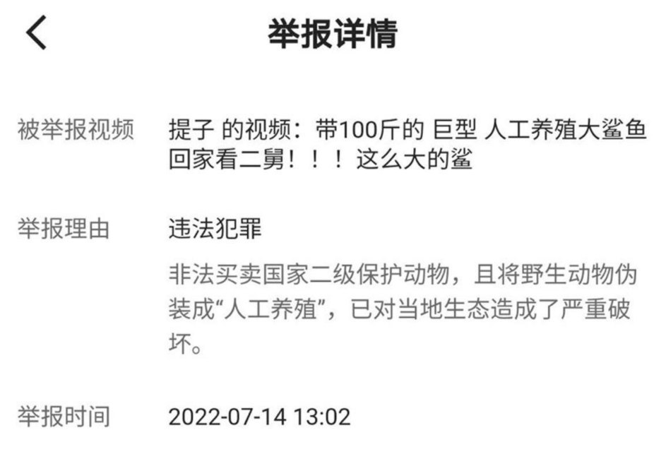 以确认，千万网红提子食用大白鲨被抓，或将面临10年监禁休闲区蓝鸢梦想 - Www.slyday.coM