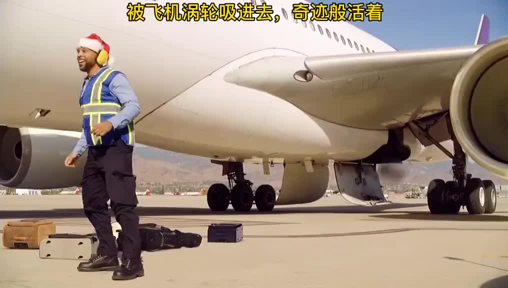 被飞机涡轮吸进去,竟奇迹般存活