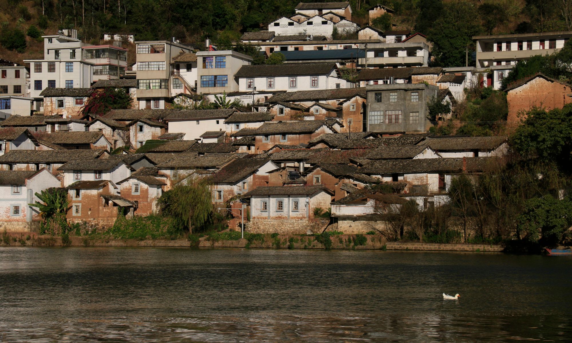 滇越铁路上"雕梁画栋今犹在,当年喧嚣回空想"的徐家渡