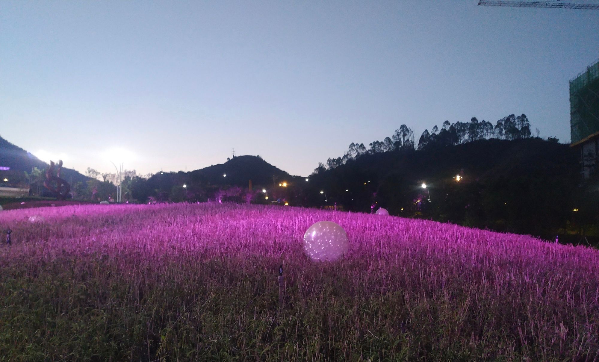 攀枝花市普达阳光国际康养度假旅游区实拍美景_高清图集_新浪网