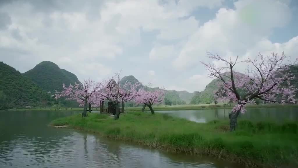 虽说夜华已经确认白浅就是素素,但夜华还是忍不住去打探白浅的事