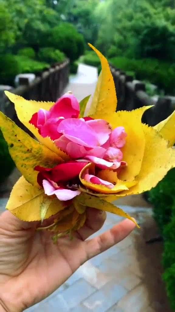 分享张齐山的经典歌曲星星月亮岛被这嗓音震撼到了