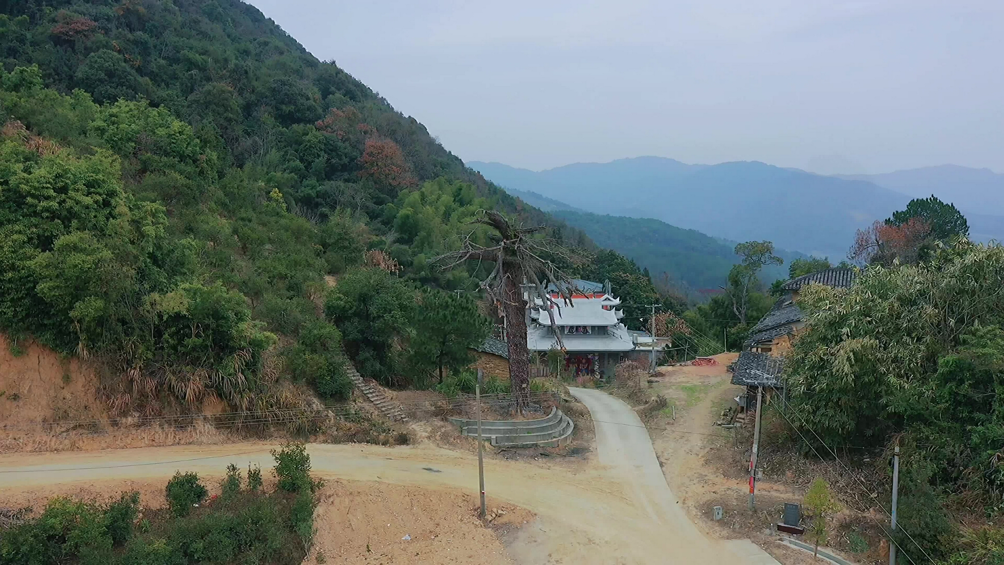 闽清龙贡(白樟·横坑)