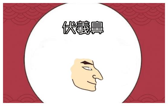 伏羲鼻所谓的伏犀鼻,指的就是鼻梁挺拔端正而且肉不是很多,山根部分很