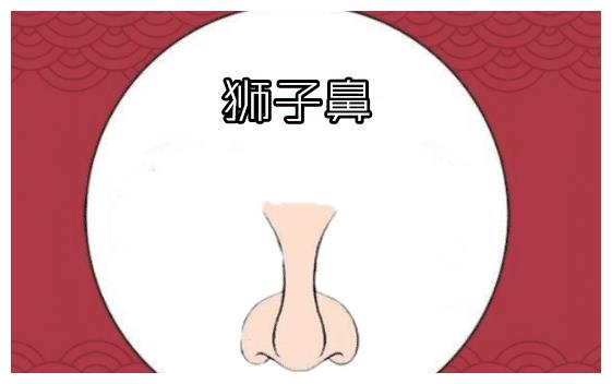 五种"发财鼻"相,男人升官又发财,女人好运嫁富翁,非富即贵!