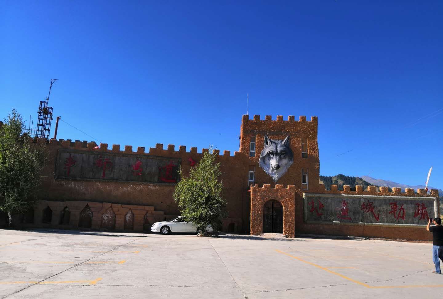 一个可以"零距离"和野狼接触的地方吉木萨尔野狼谷