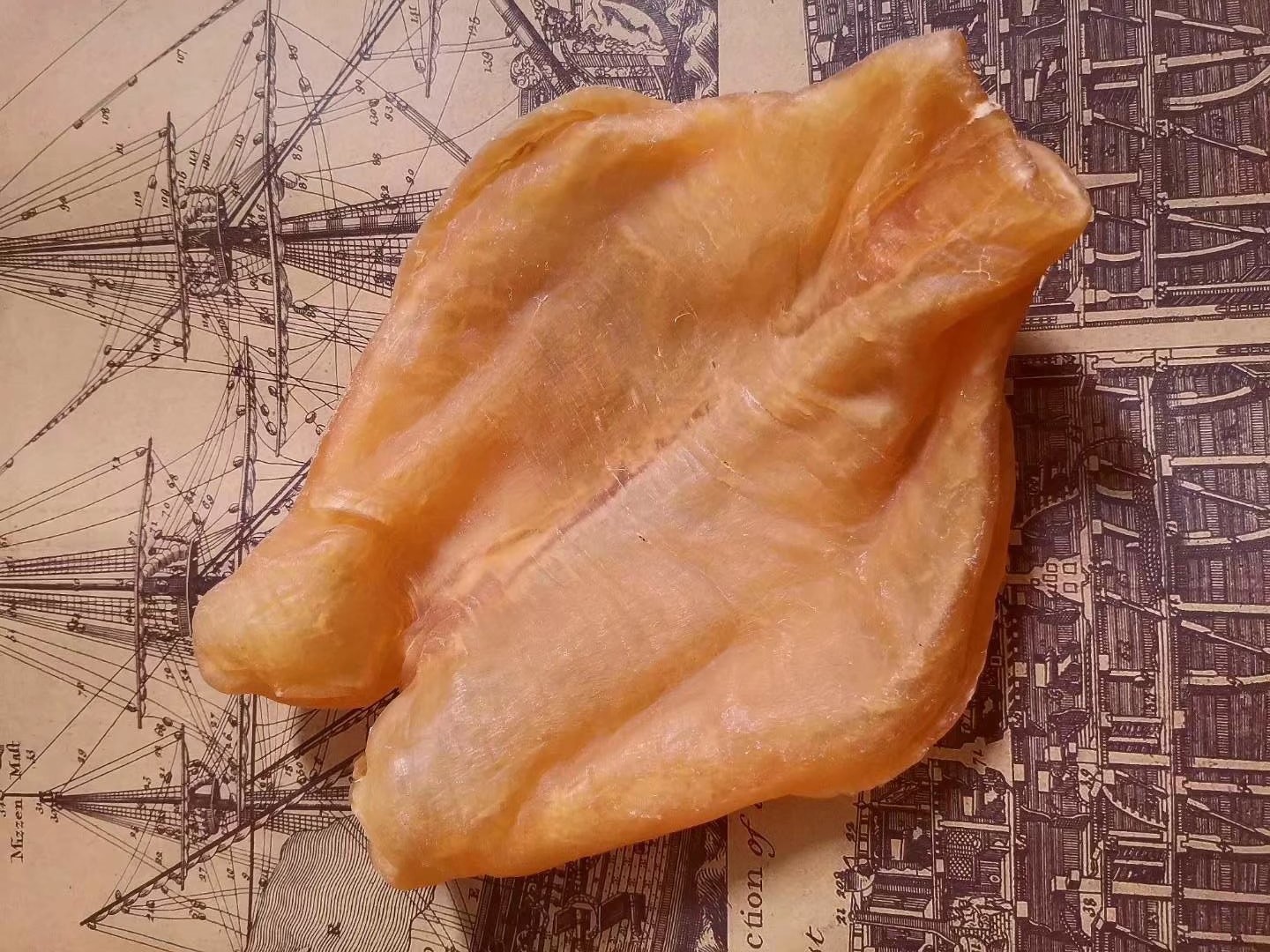 黄花鱼胶怎么辨别好坏 东南亚 鱼胶 黄花 新浪新闻