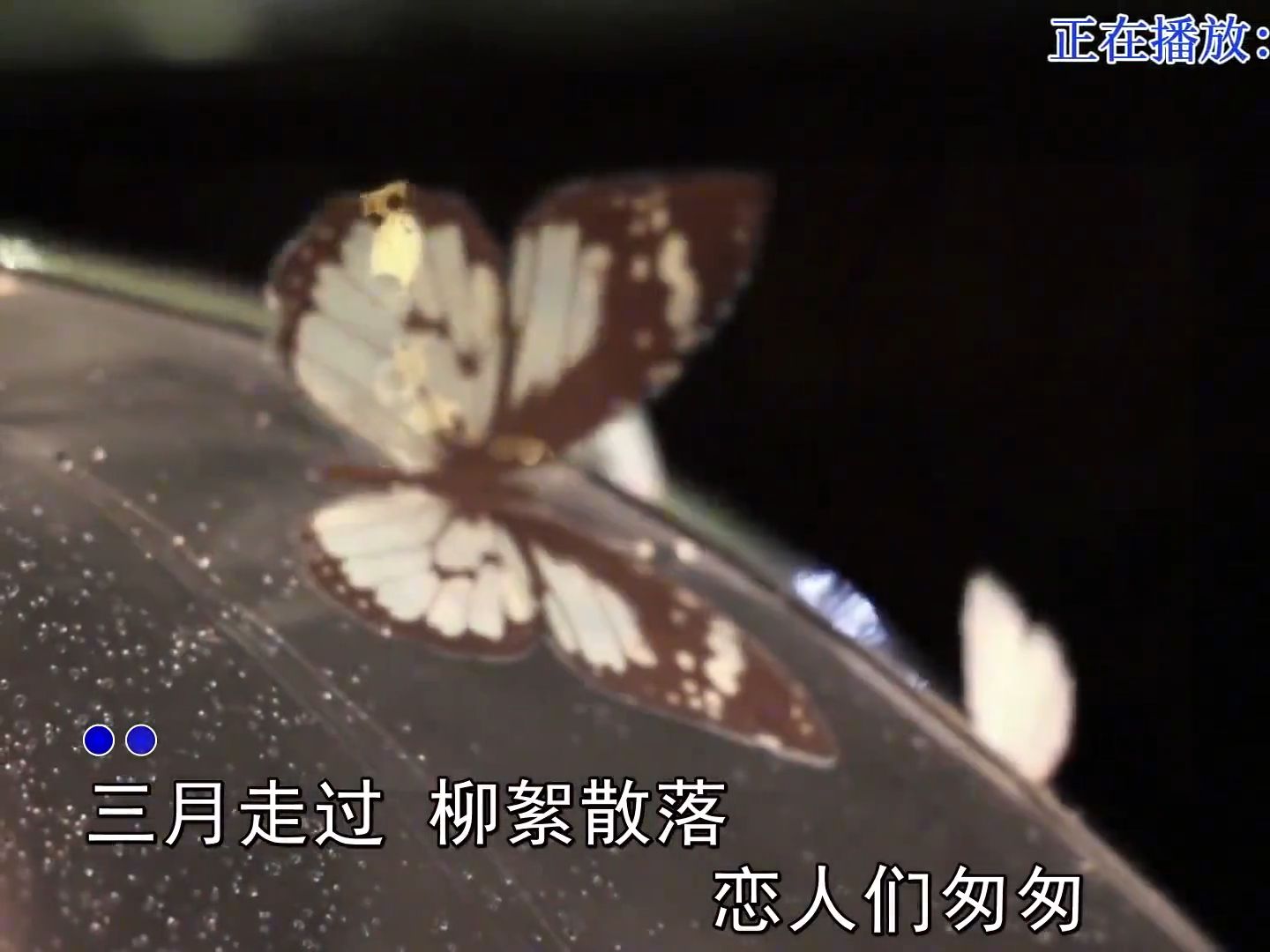 当「青花」遇上周传雄的嗓音，这首经典，为何至今仍旧好听