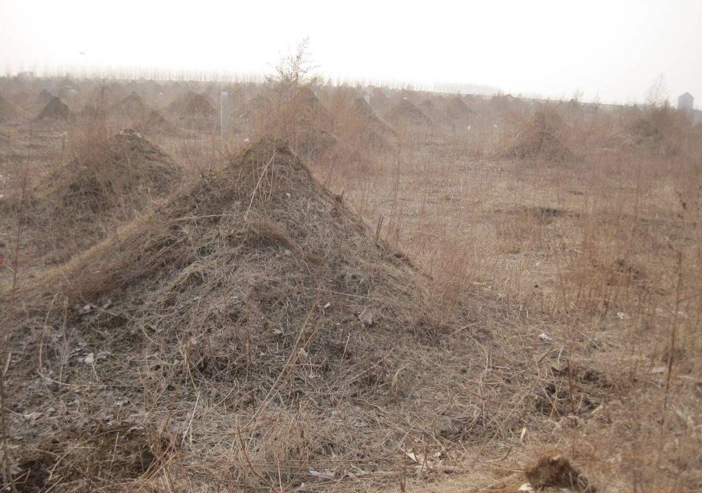 农村土葬时,棺材埋在地下,为何上面还要堆砌小土堆?