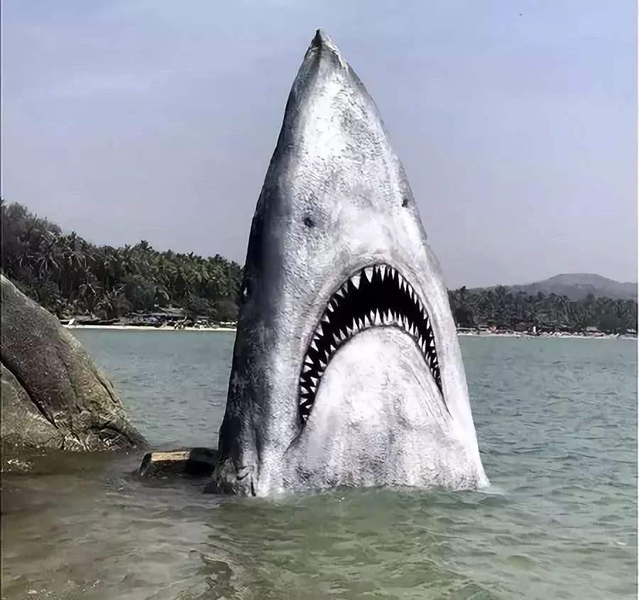 印度海滩一奇特的大白鲨巨石,露出尖牙利齿,每年吸引数十万游客