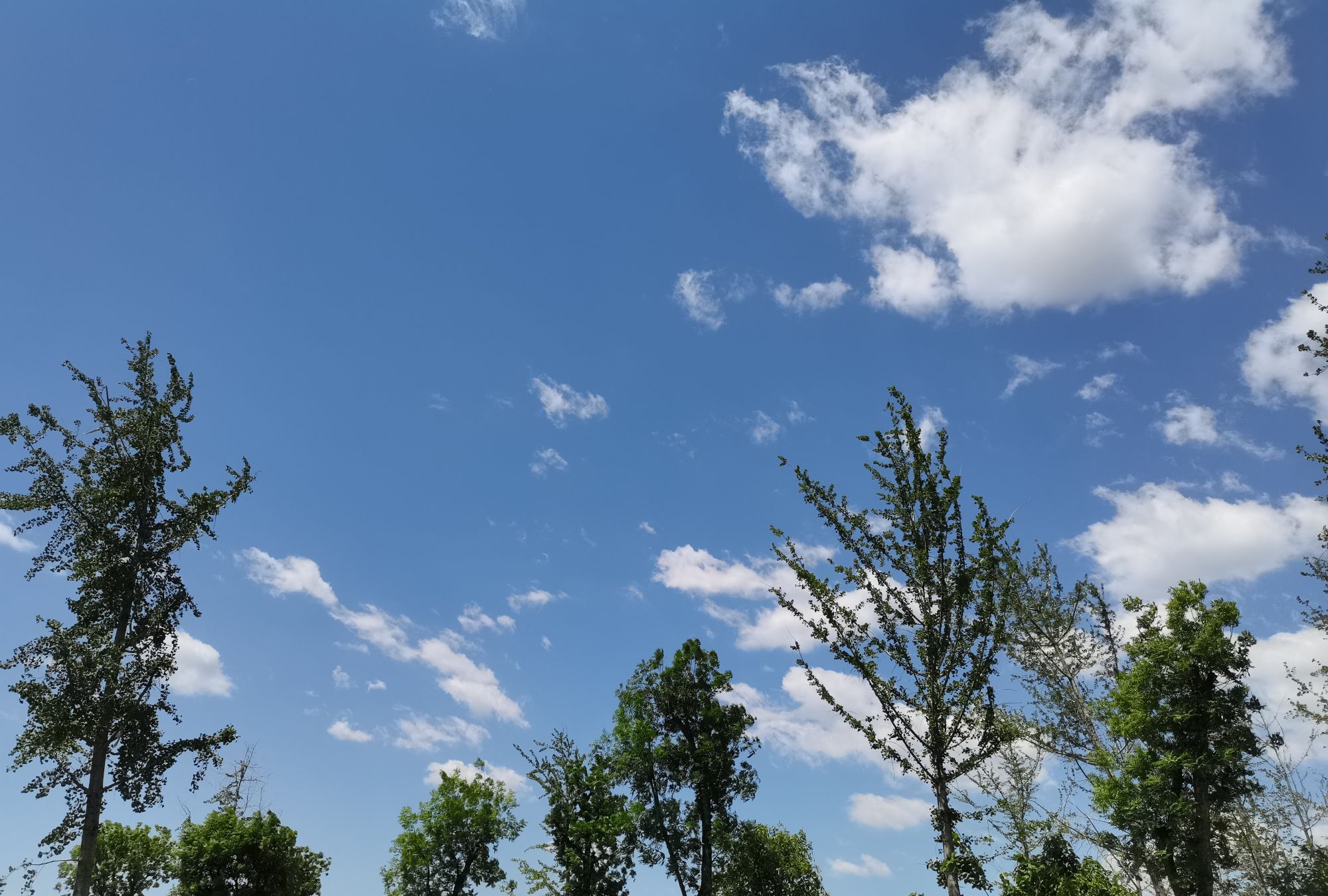 秋高气爽之下天空蓝