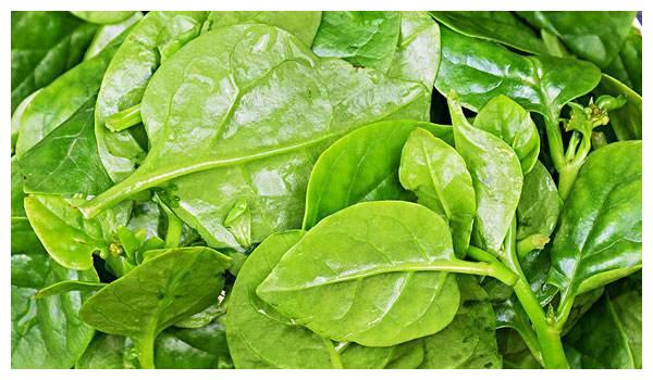 吃起来滑溜溜的这个菜你喜欢吗