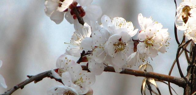 十二星座喜欢一个人会让别人知道吗？水瓶座的处理方式值得学习休闲区蓝鸢梦想 - Www.slyday.coM