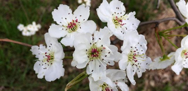 十二星座喜欢一个人会让别人知道吗？水瓶座的处理方式值得学习休闲区蓝鸢梦想 - Www.slyday.coM