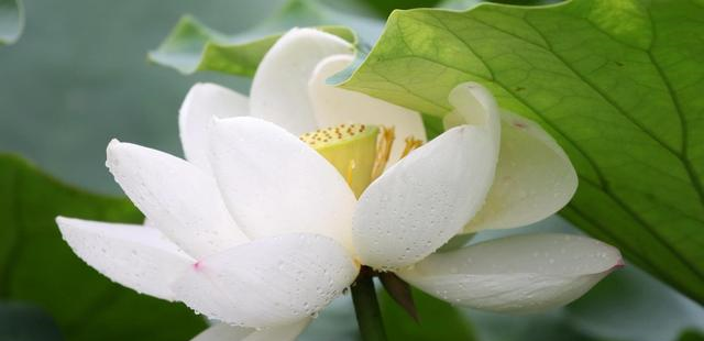 十二星座喜欢一个人会让别人知道吗？水瓶座的处理方式值得学习休闲区蓝鸢梦想 - Www.slyday.coM