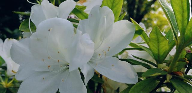 十二星座喜欢一个人会让别人知道吗？水瓶座的处理方式值得学习休闲区蓝鸢梦想 - Www.slyday.coM