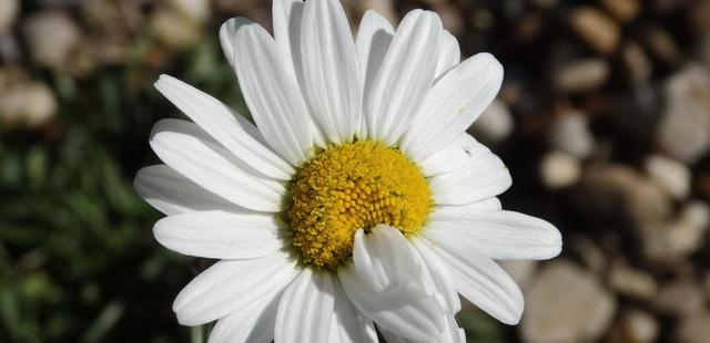 十二星座喜欢一个人会让别人知道吗？水瓶座的处理方式值得学习休闲区蓝鸢梦想 - Www.slyday.coM