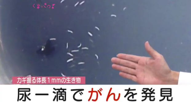 <a href=