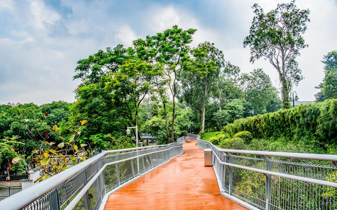 广州第一条"空中步道",穿行在青山绿水间,走完全程大约2小时