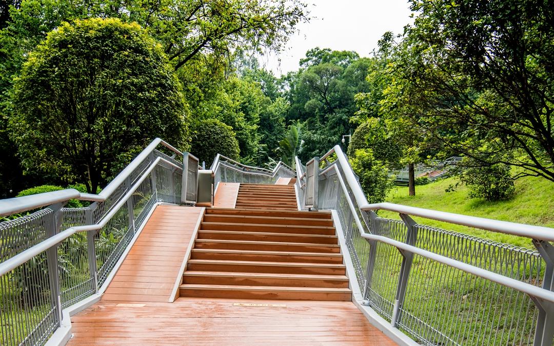 广州第一条"空中步道",穿行在青山绿水间,走完全程大约2小时