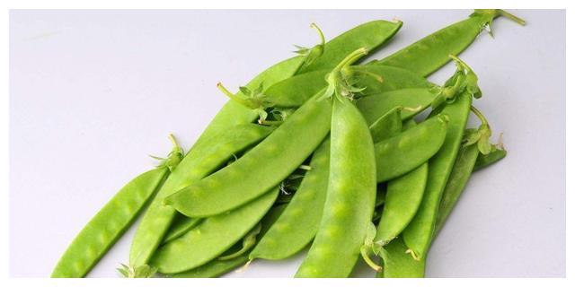 豆类科普看这篇就够了!认清不同豆类、储存与食用注意事项都在这