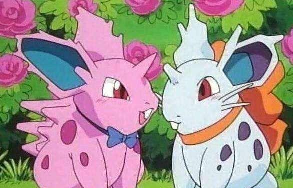 神奇宝贝图鉴no029小小的毒针却足以致命尼多兰