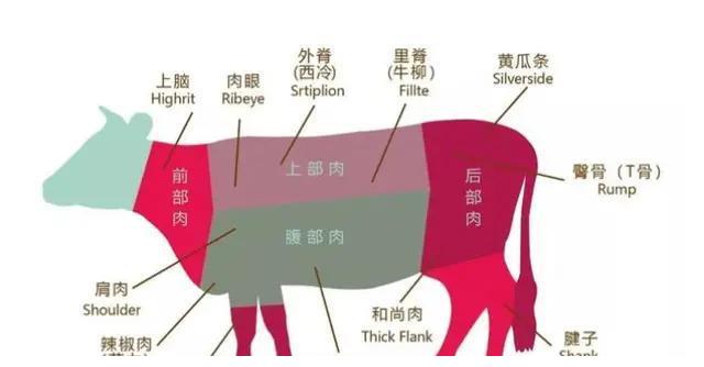 袁立到兰州吃了一碗地道的牛肉面,网友们却在争议这碗面要多少钱