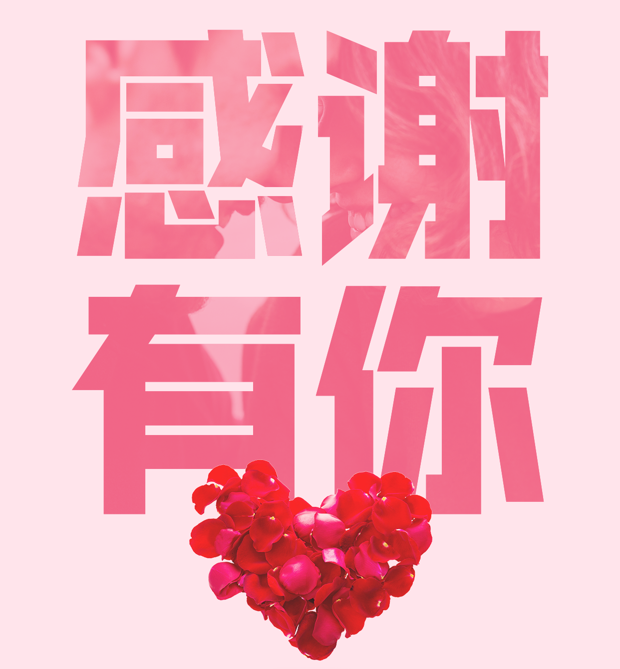 感恩生命中的每次相遇