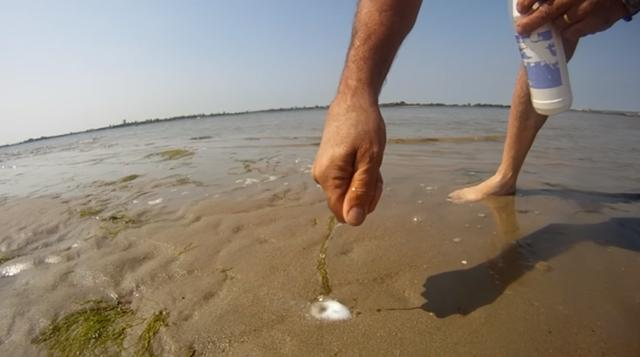 男子在沙滩上不断的撒盐没想到竟然冒出满满的惊喜