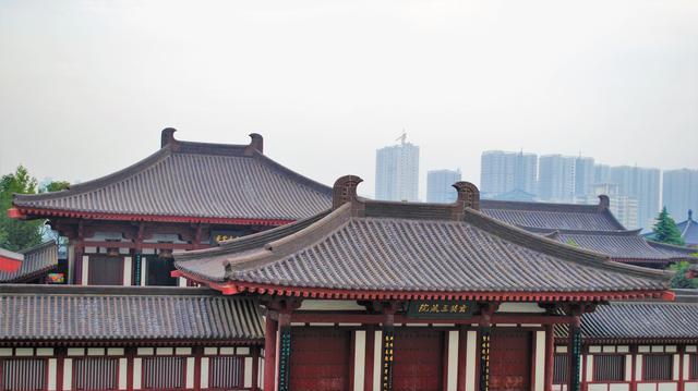 里面有雁塔圣教序碑,牡丹园,塔林,财神殿,开运菩萨,龙爪槐,还有云水堂