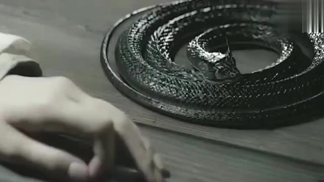 白浅这样回应,夜华伤心 为您推荐: 素素对夜华抱怨负心蛇难养,夜华装