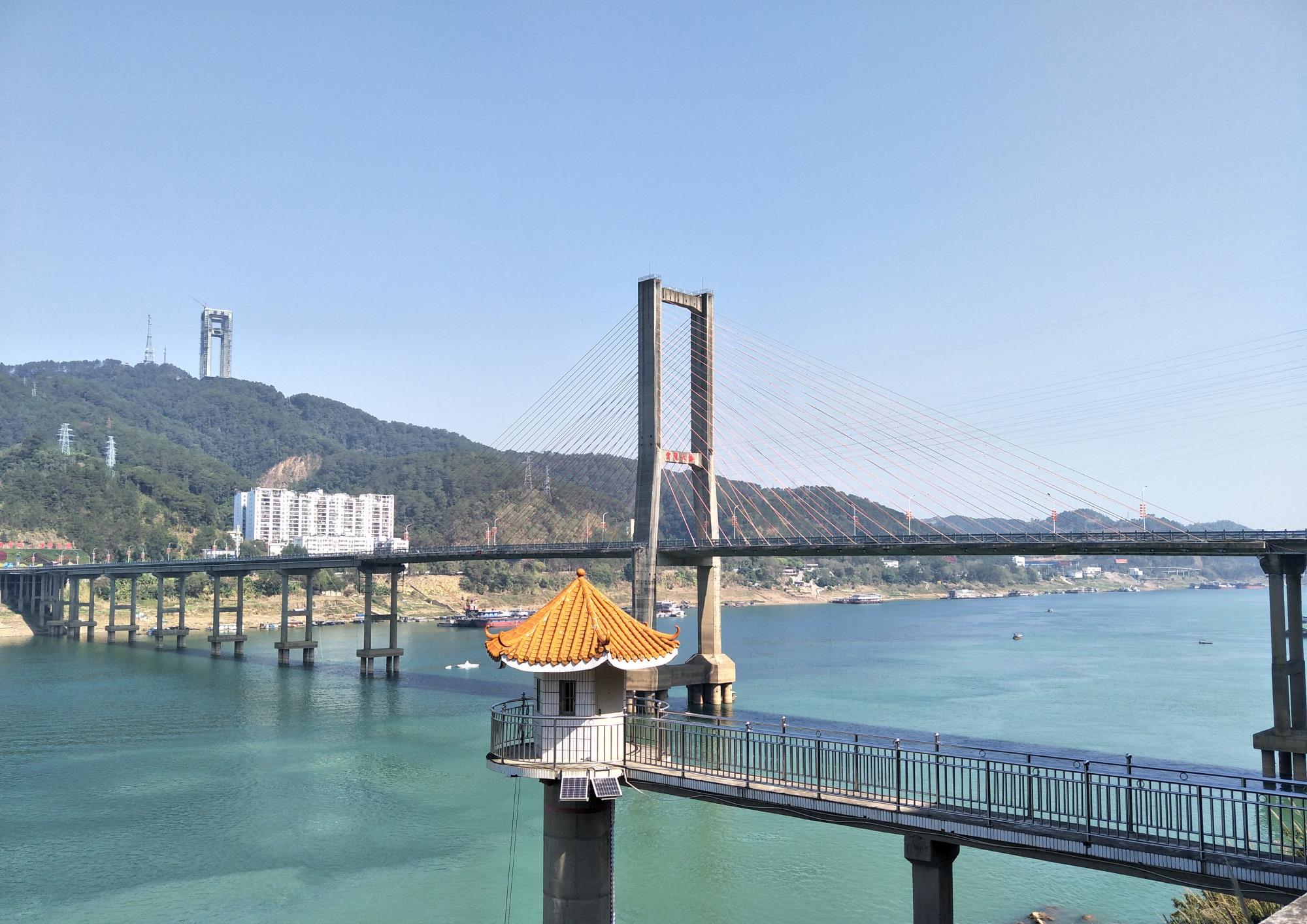 梧州西江又现第三种鸳鸯江奇观,秀美无比,大家快来围观