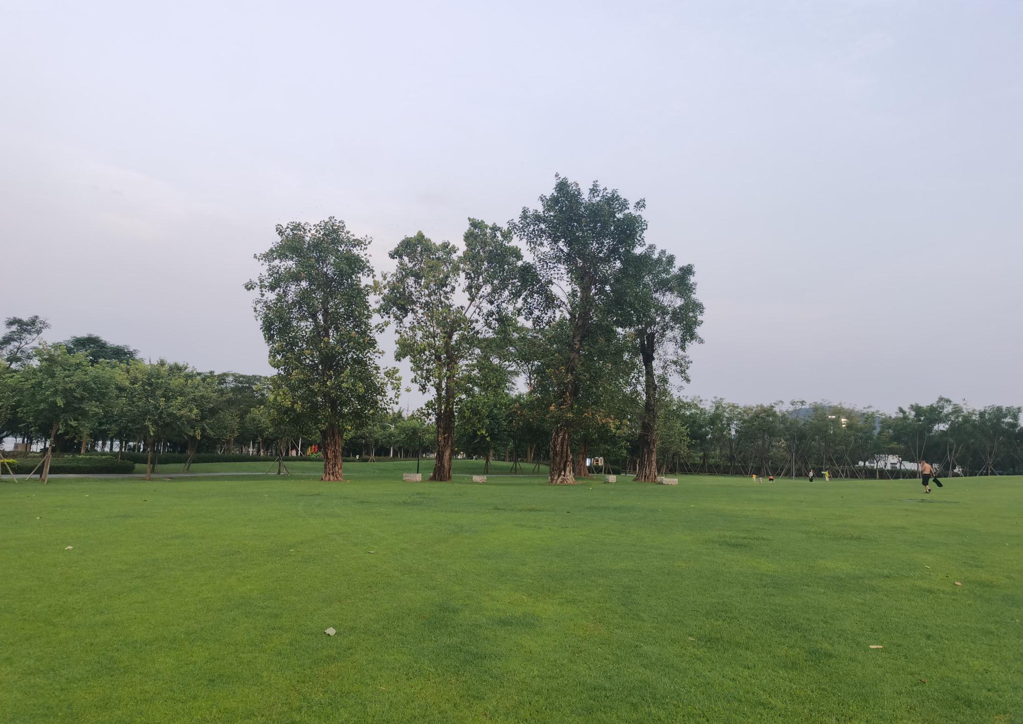 四季大草坪,位于顺峰山脚下,桂畔海湖畔,依山傍水,风景秀丽,是美丽的