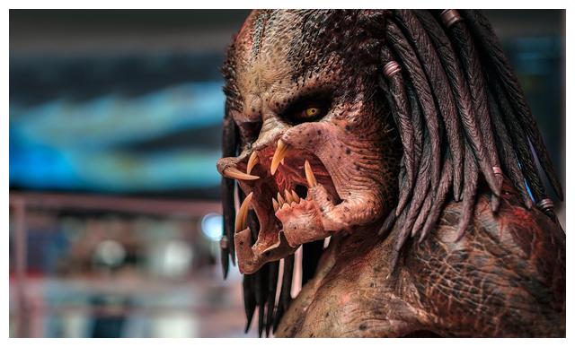 大战异形的外星战士又回来了导演人选确定施瓦辛格有望回归