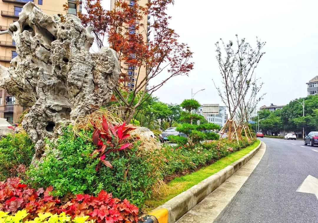 无锡又变漂亮了,路段节点改造,单一绿化带变美丽景观带