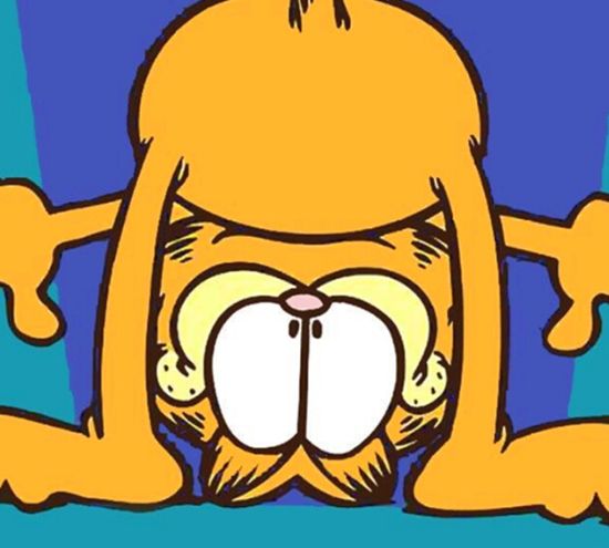 毛茸茸的加菲猫,这只猫也太可爱了,这部剧笑点也很多