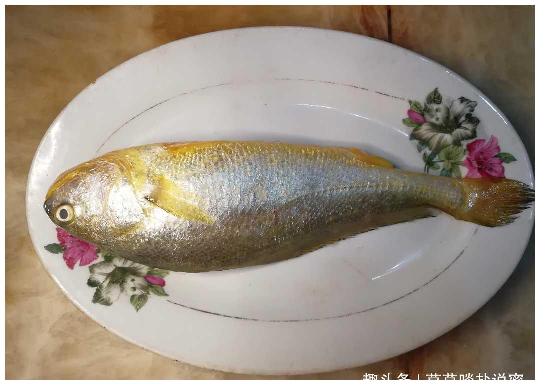 换个姿势清蒸黄瓜鱼,肉质细腻,无刺心情更美好|黄瓜