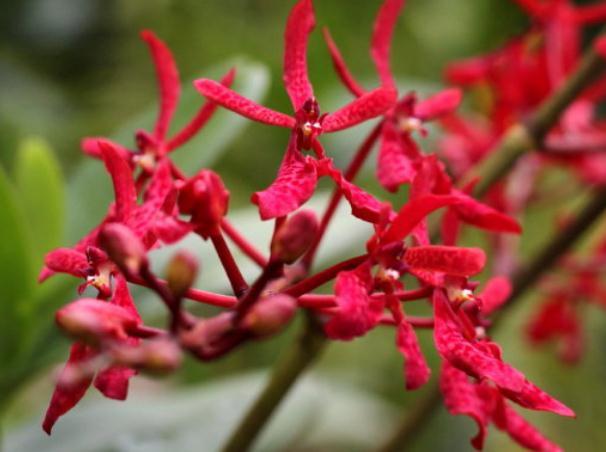 8月21日-9月5日,庭院选这几款花,绚丽多彩,便宜又好养__财经头条