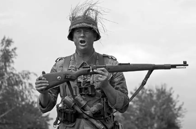 二战法国投降后300万法军都干了什么事