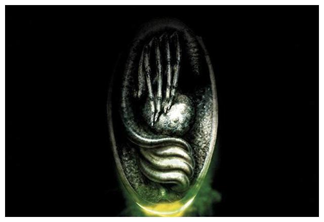 异形前传第3部异形觉醒还有希望故事直接承接异形1