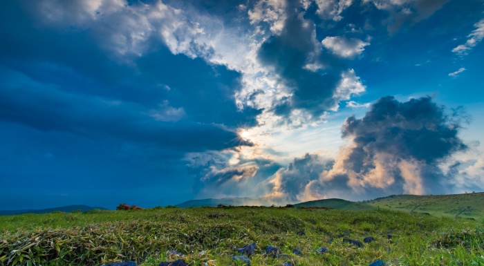 从“10年免费包修”仅格力一家，透视中国空调市场三大短板-家电圈官网