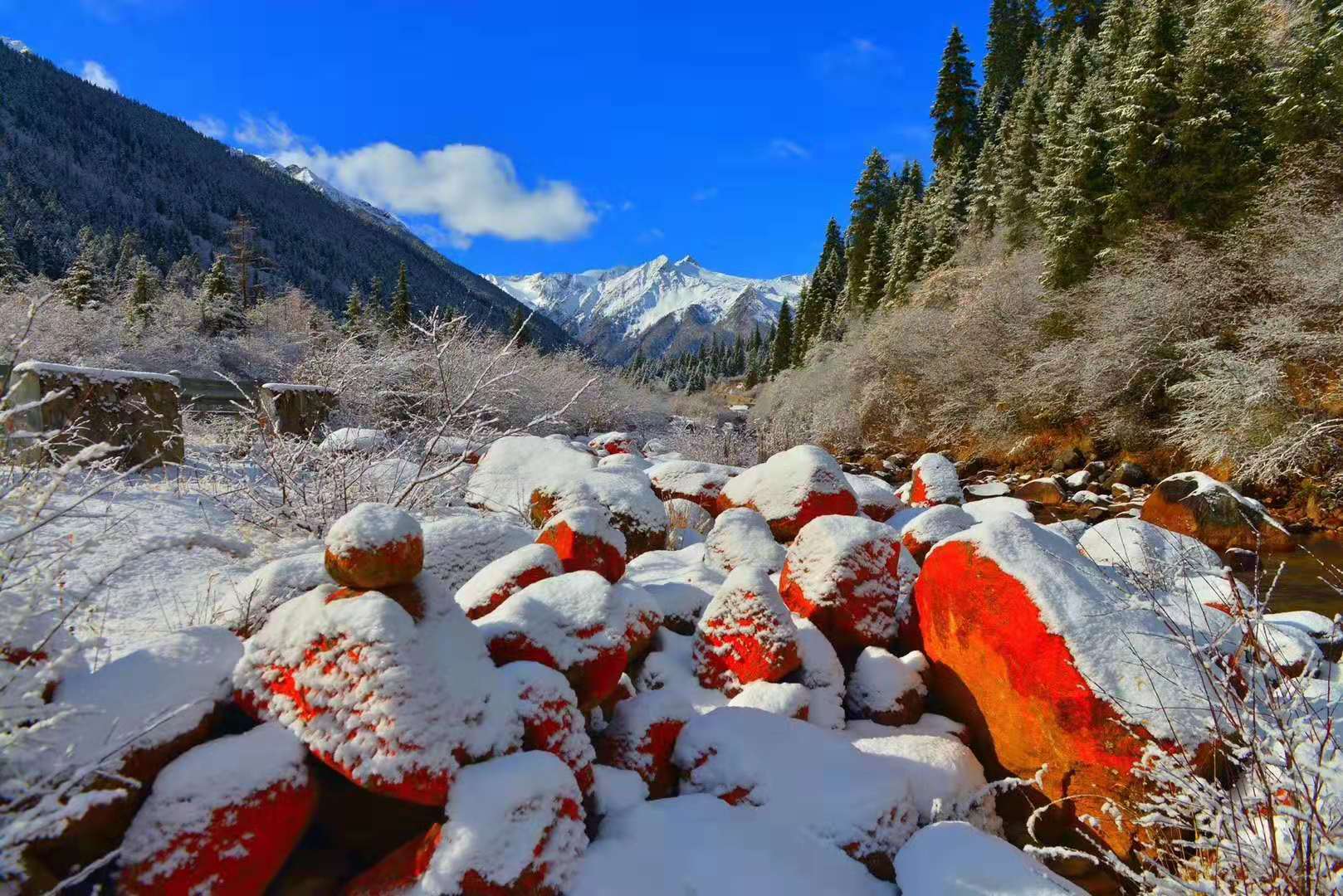 走进达古冰川风景区,亲临冰川,融入冰雪世界|达古冰川|冰川|风景区