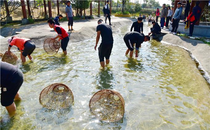 民俗,以珠三角最古老的桑基鱼塘为主景观,将渔耕文化与旅游项目相融合