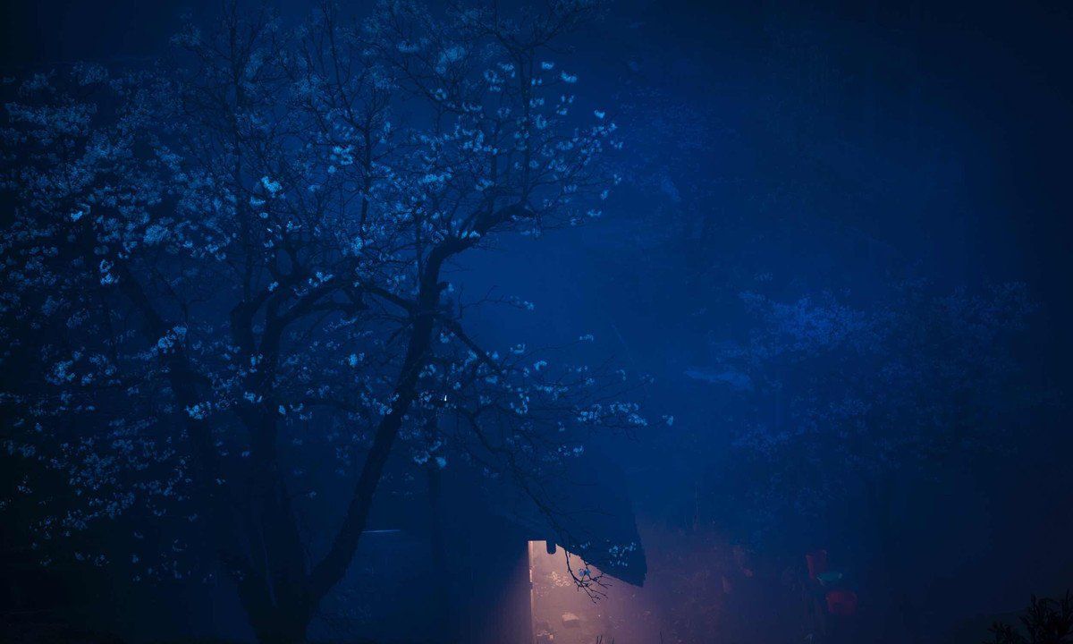 春天的夜晚,如梦一般__财经头条